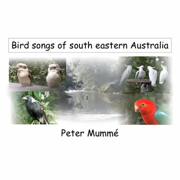 Bird Songs of South Eastern Australia