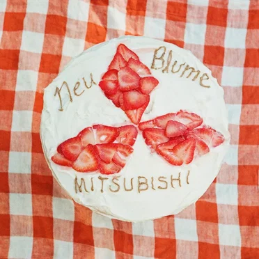 Mitsubishi by Neu Blume - album cover