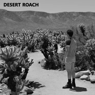 Desert Roach