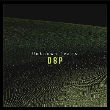 D S P by Unknown Tears - album cover
