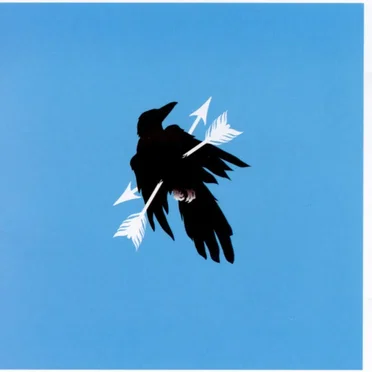 Jackdaw