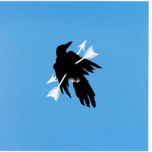 Jackdaw