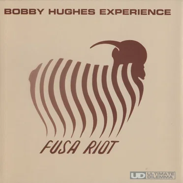 Fusa Riot by Bobby Hughes Experience - album cover