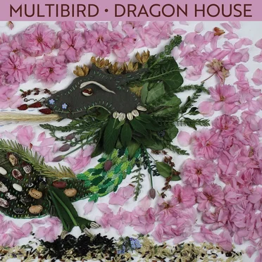 Dragon House by Multibird - album cover