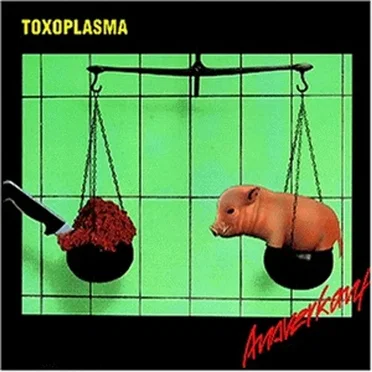 Ausverkauf by Toxoplasma - album cover