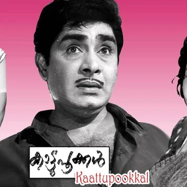 Kattupookkal