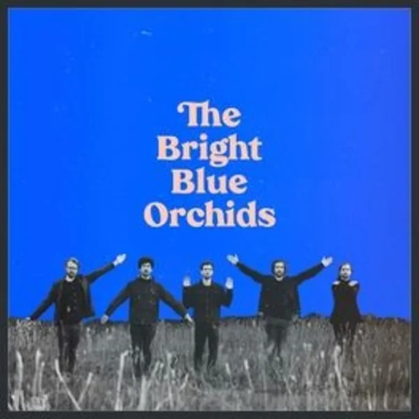 The Bright Blue Orchids