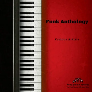 Funk Anthology by Various Artists - album cover