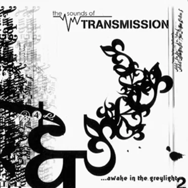 Awake in the Greylight 2 by Various Artists - album cover