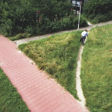 Caminitos del deseo