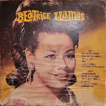 Beatríz Llamas by Beatriz Llamas - album cover