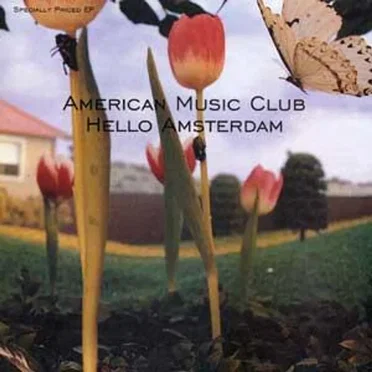 Hello Amsterdam by American Music Club - album cover