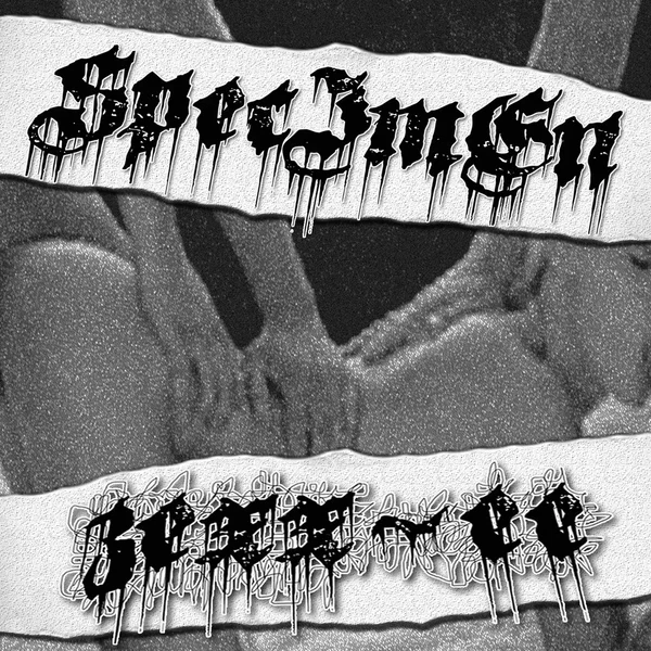 ZEXX-EE & SpecImEn