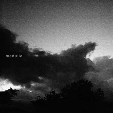 Medulla