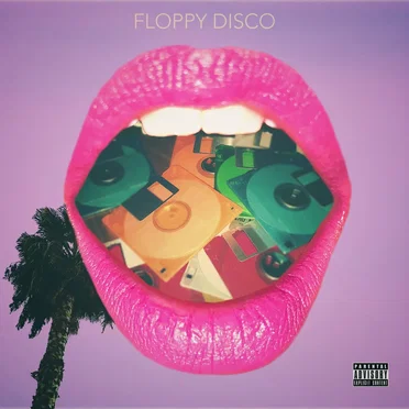 floppy disco