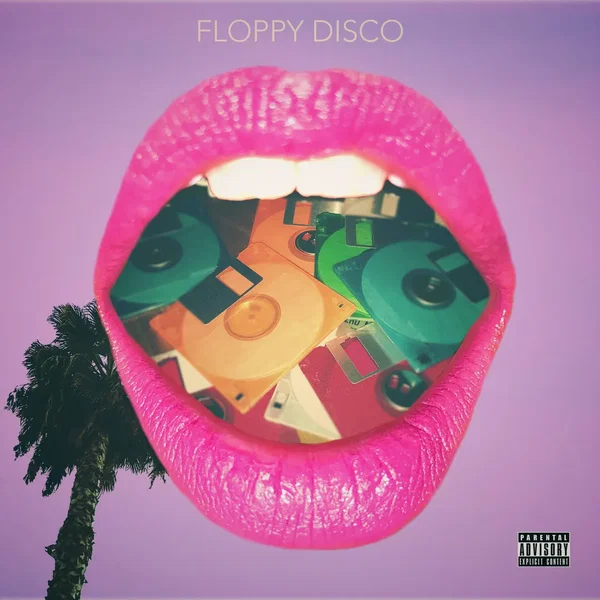 floppy disco