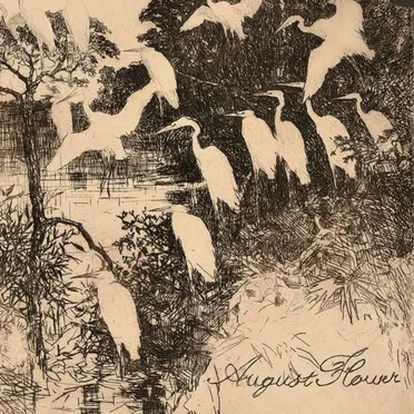 Flores de Agosto by August Flower - album cover