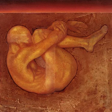 Defense Mechanisms by Louis de Mieulle - album cover