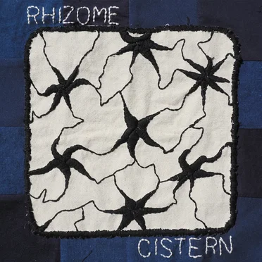 Rhizome by cistern - album cover