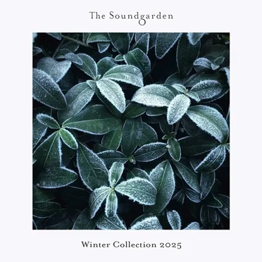 Winter Collection 2025 by Various Artists - album cover
