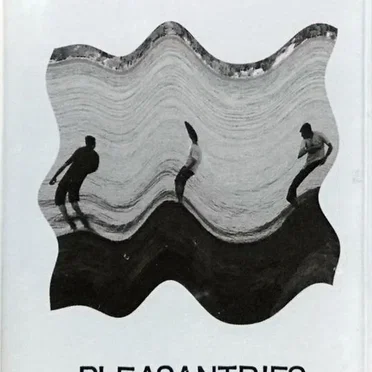 Pleasantries by Total Yuppies - album cover