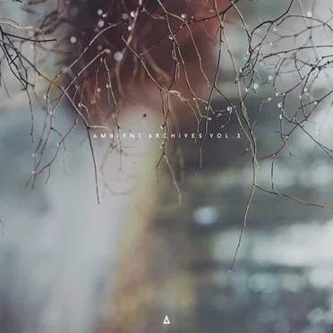Ambient Archives Vol. 3 by Various Artists - album cover
