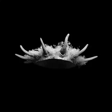 Feel Nothing (Reset) by The Plot in You - album cover