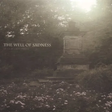 In Our Last Times by The Well of Sadness - album cover