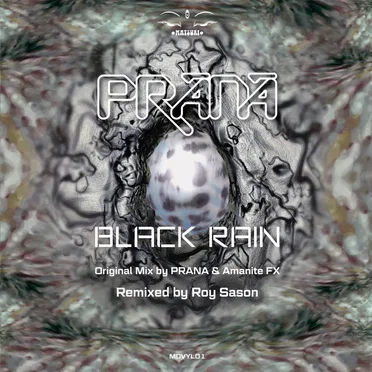 Black Rain (Remastered & Remixed by Roy Sason)