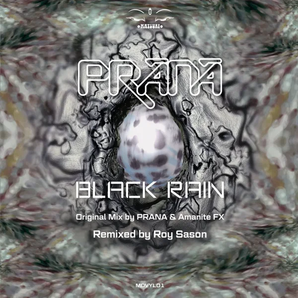 Black Rain (Remastered & Remixed by Roy Sason)