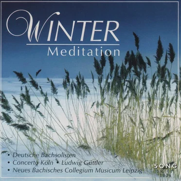 Winter Meditation by Various Artists - album cover