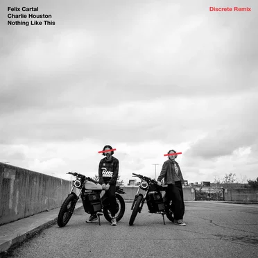 Nothing Like This (Discrete remix)