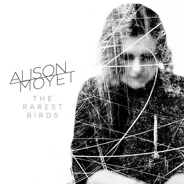 The Rarest Birds