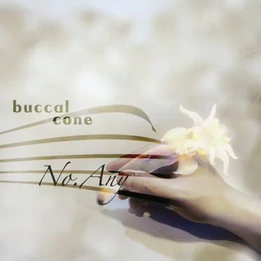 No.Any by buccal cone - album cover