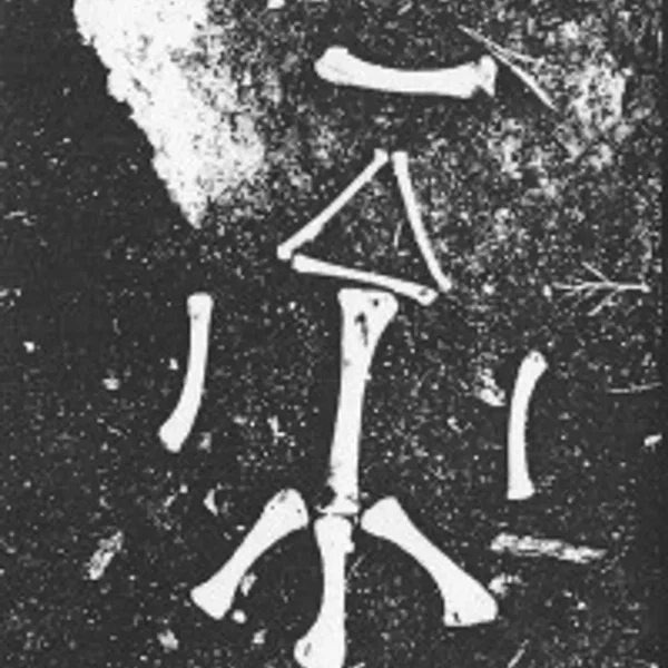 Nahtrunar