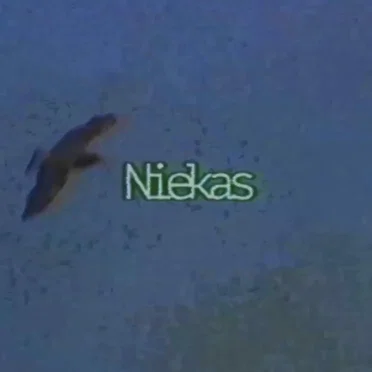 Niekas by Katarsis - album cover