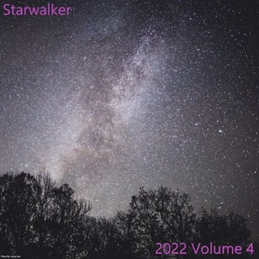 2022 Volume 4