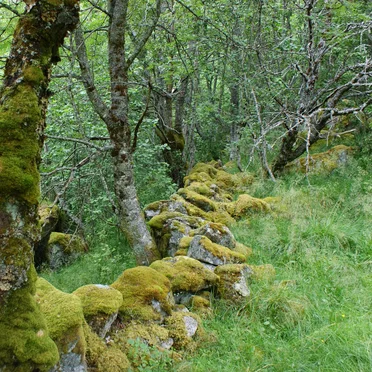 Im Garten der Artemis (Live Session)