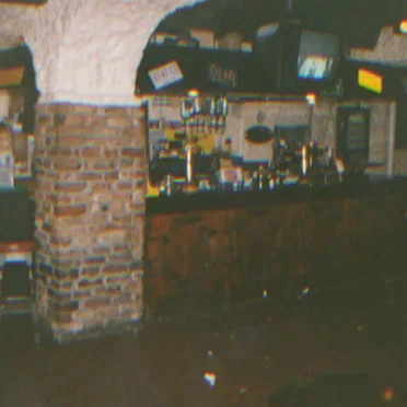 Death at the Primrose