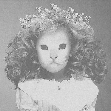 Eternity by Mr.Kitty - album cover