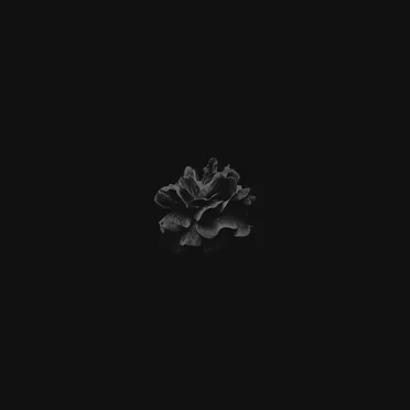 Rosethorn by Aaron Percy - album cover