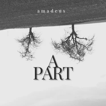 Apart by amadeus - album cover