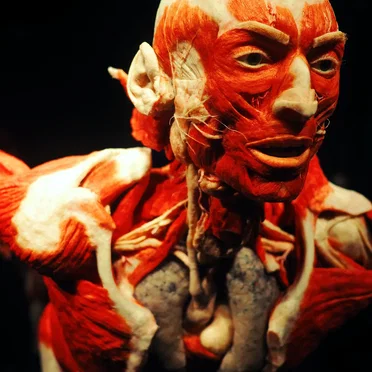 The Bleeding Biology of Our Self-Absorbed Technology