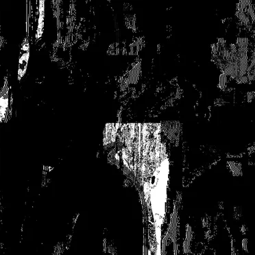 Make Plans and God Laughs