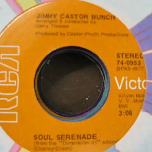 Purple Haze - Foxy Lady (Tribute to Jimi) / Soul Serenade