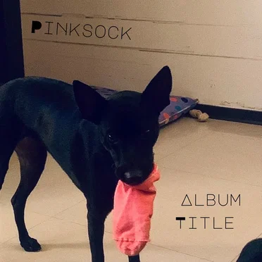 Album Title by Pinksock - album cover