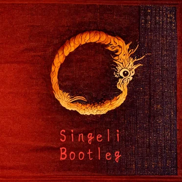 Singeli Bootleg