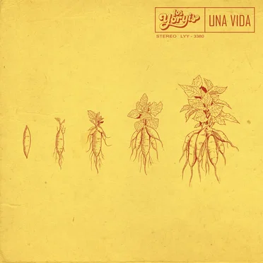 Una vida by Los Yoryis - album cover
