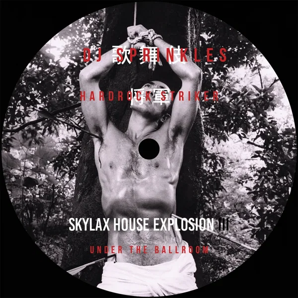 Skylax House Explosion III: Under the Ballroom