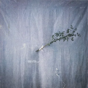 Wake to Unfold